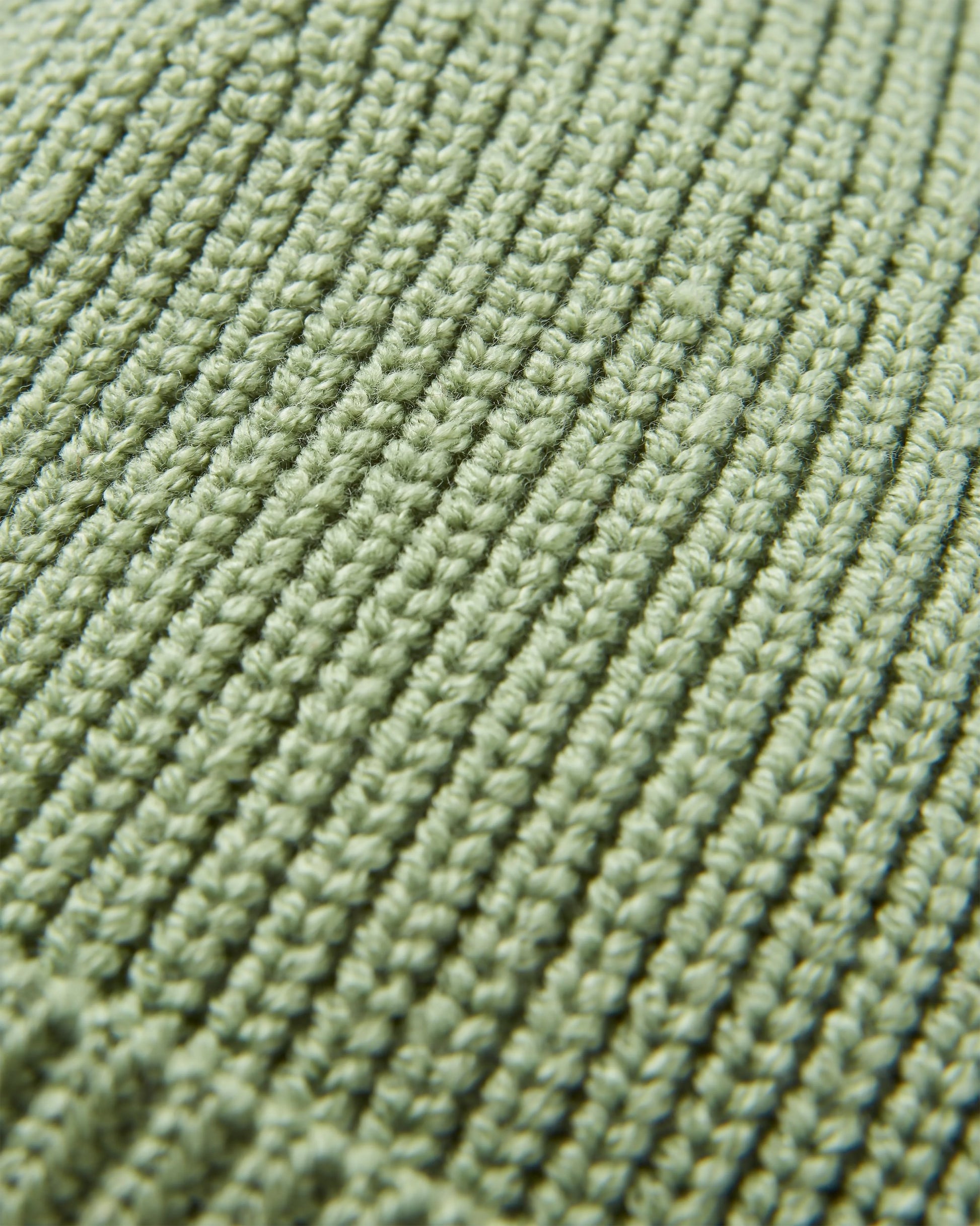 Compass Recycled Beanie - Stem Green - Flatlay