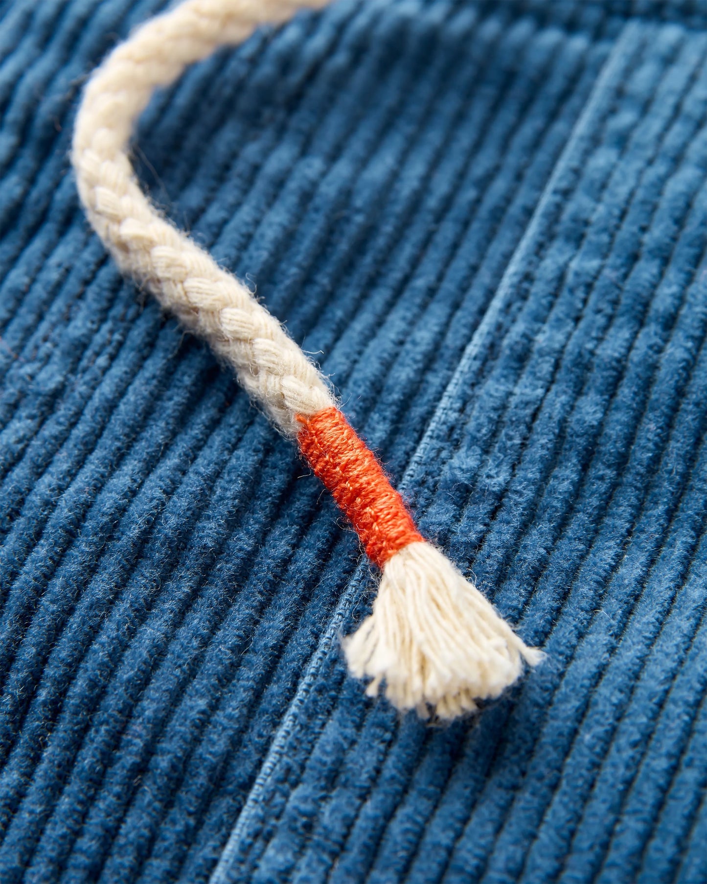 Avian Organic Cord Short - Dark Denim - Flatlay